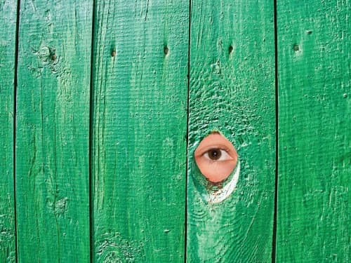 eye looking through fence