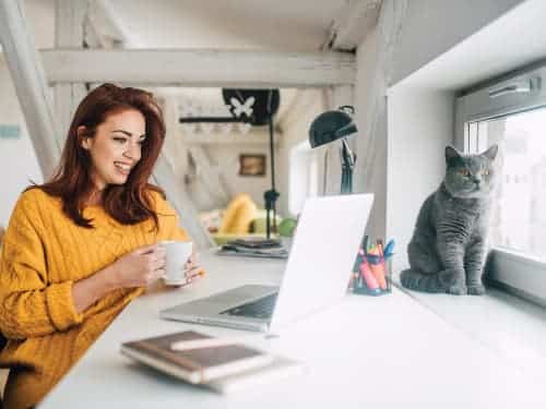 woman working with grey cat