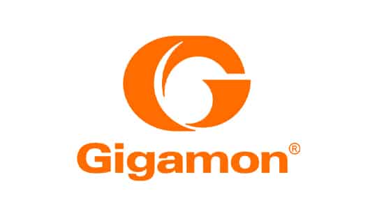 Logo-Gigamon