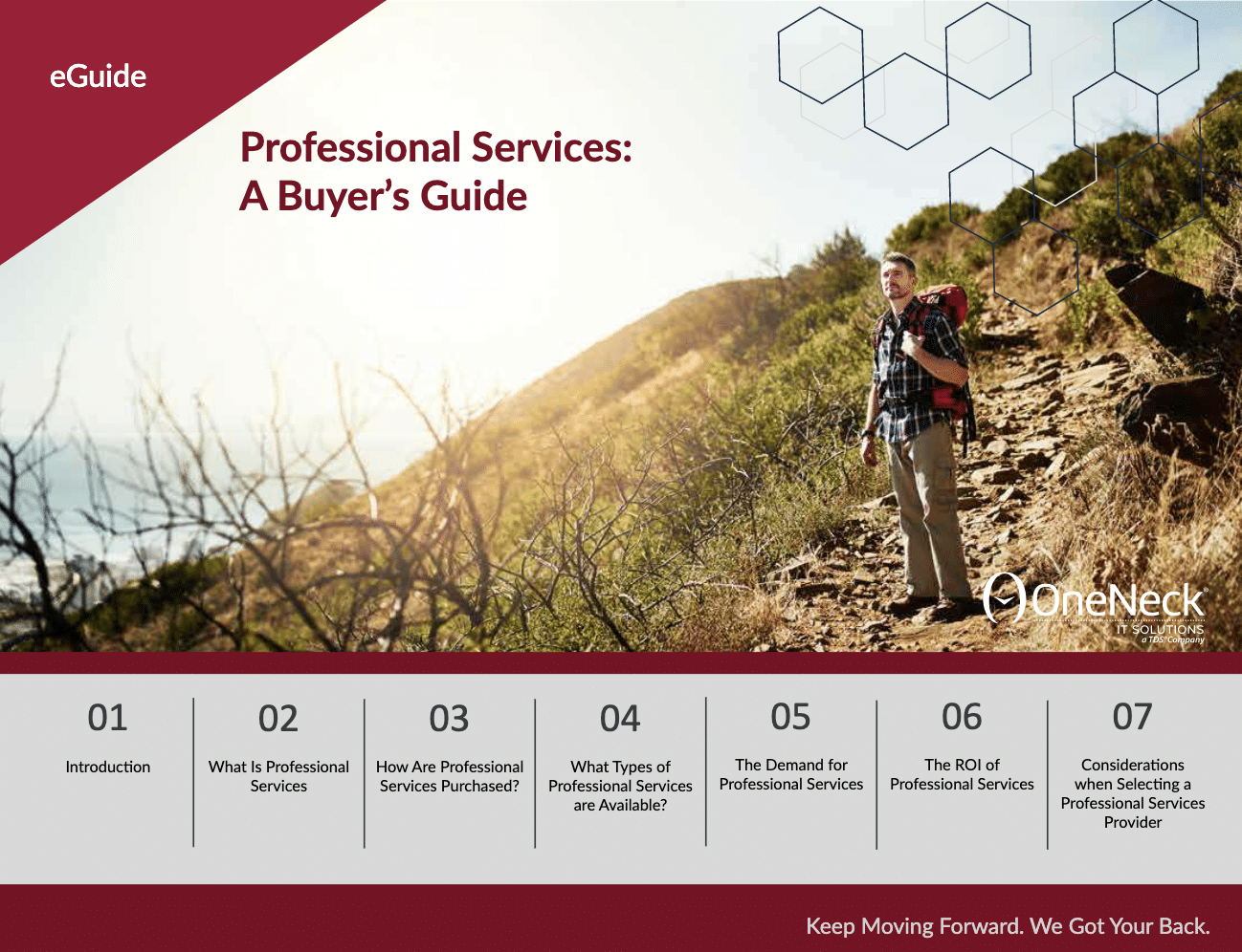 professional-services-buyers-guide